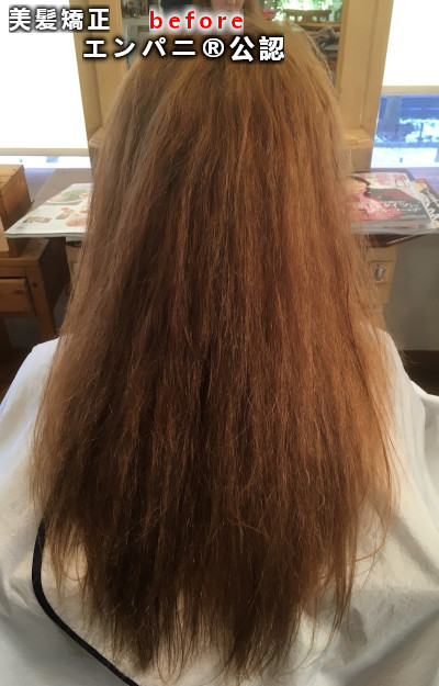 美髪ナビ（名古屋エリア）美髪矯正ナビ掲載の高難易度髪質改善効果を提供する美髪専門店